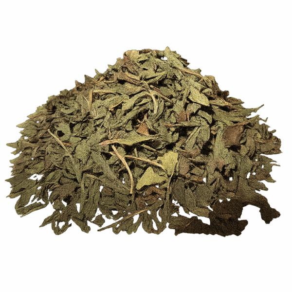 MENTHE POIVREE BIO