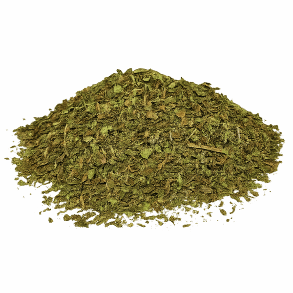MENTHE VERTE BIO